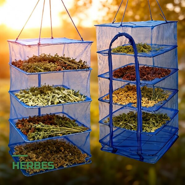 Panier de Séchage Suspendu 4 Niveaux pour Herbes & Plantes