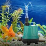 Pompe de Bassin Submersible