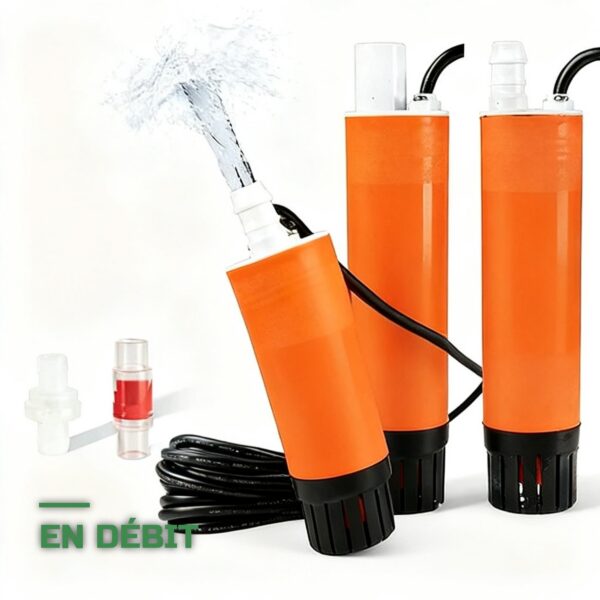Pompe Submersible Portable 12V de Transfert et Vidange d'Eau