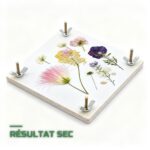 Presse à Fleurs & Plantes en Bois Herbier Séchage