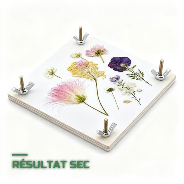 Presse à Fleurs & Plantes en Bois Herbier Séchage