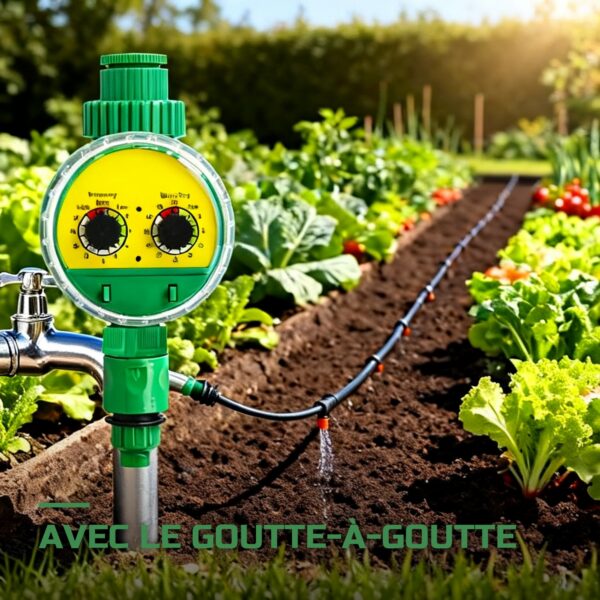 Programmateur d'Arrosage Automatique