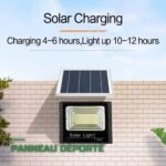 Projecteur Solaire 30W Extérieur avec Télécommande IP67