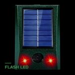 Répulsif Anti-Pigeons Solaire Flash LED