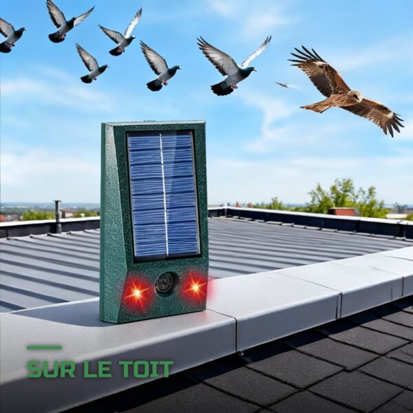 Répulsif Anti-Pigeons Solaire Flash LED