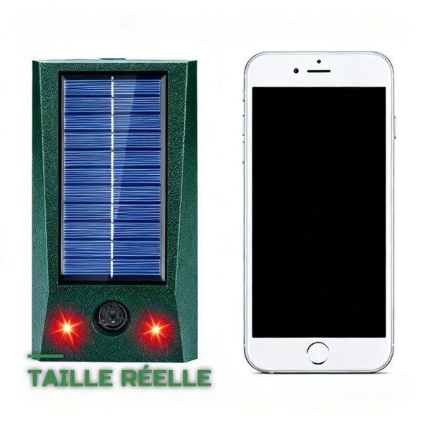 Répulsif Anti-Pigeons Solaire Flash LED