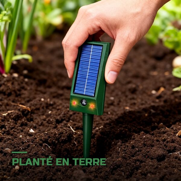 Répulsif Solaire Ultrasonique IP66
