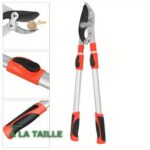 Sécateur Télescopique de Jardin