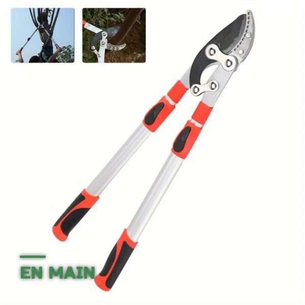 Sécateur Télescopique de Jardin