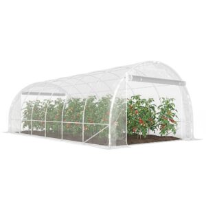 Serre Tunnel de Jardin avec Cadre Acier Galvanisé et Bâche PE