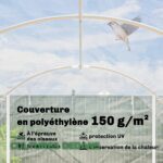 Serre Tunnel de Jardin avec Cadre Acier Galvanisé et Bâche PE