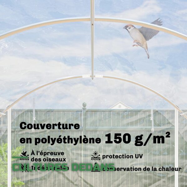 Serre Tunnel de Jardin avec Cadre Acier Galvanisé et Bâche PE