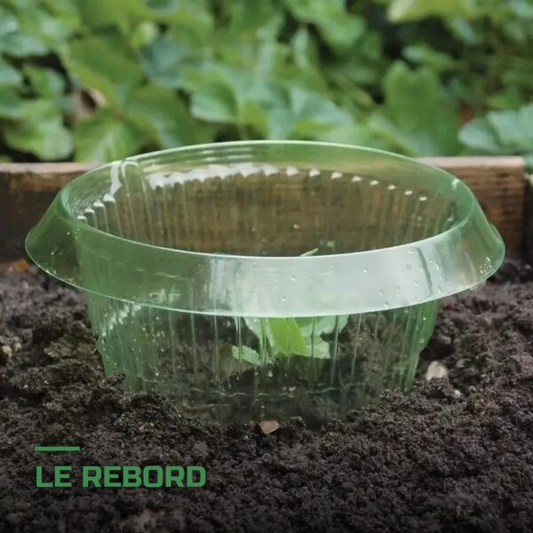 Colliers de Protection Anti-Limaces pour Plants