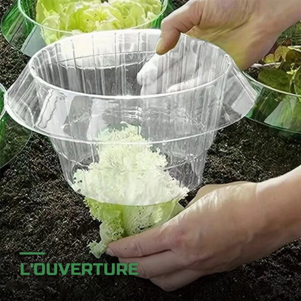 Colliers de Protection Anti-Limaces pour Plants