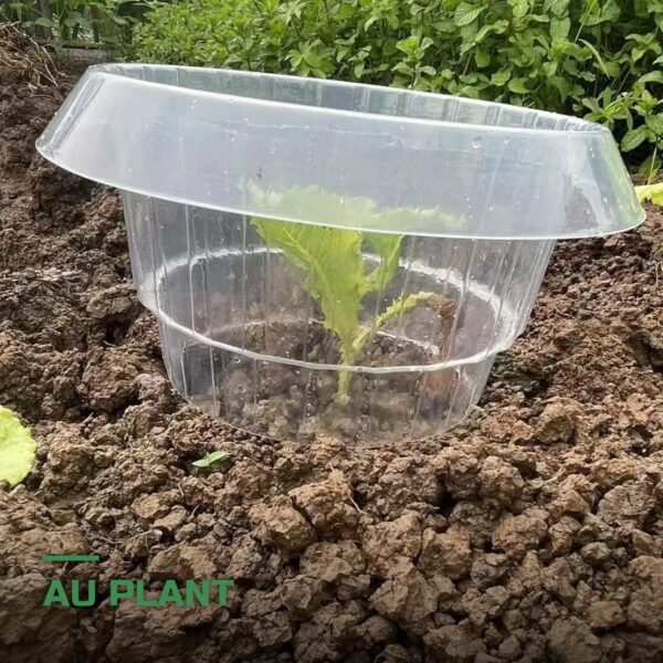 Colliers de Protection Anti-Limaces pour Plants