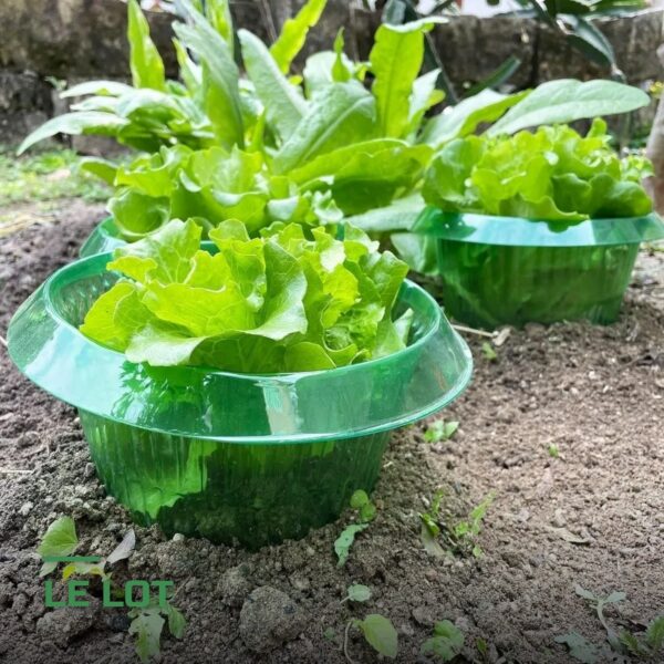 Colliers de Protection Anti-Limaces pour Plants