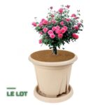 Disques de Paillage en Coco pour Pieds de Plantes