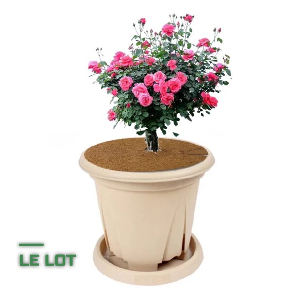 Disques de Paillage en Coco pour Pieds de Plantes