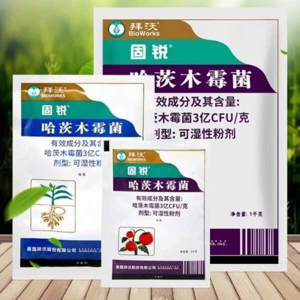 Engrais Biologique Trichoderma pour Racines