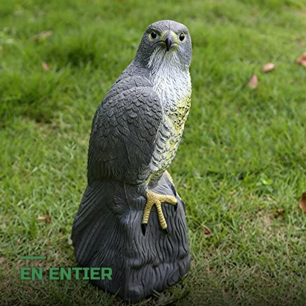 Faux Hibou Effaroucheur Répulsif Oiseaux
