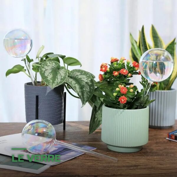 Globes d'Arrosage en Verre pour Plantes