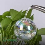 Globes d'Arrosage en Verre pour Plantes