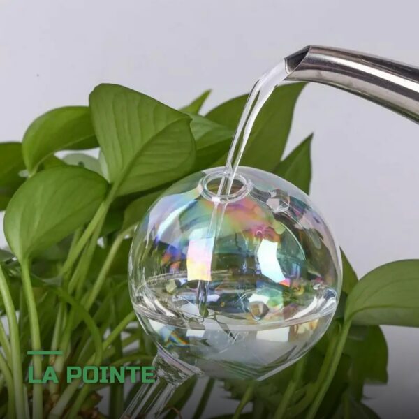Globes d'Arrosage en Verre pour Plantes