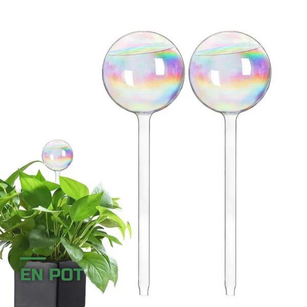 Globes d'Arrosage en Verre pour Plantes