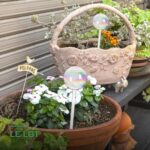 Globes d'Arrosage en Verre pour Plantes