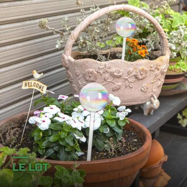 Globes d'Arrosage en Verre pour Plantes