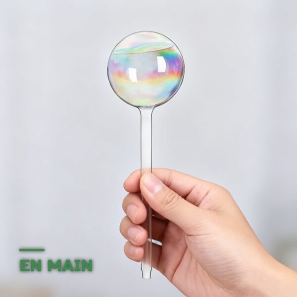 Globes d'Arrosage en Verre pour Plantes
