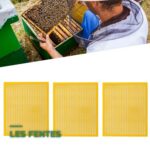 Grille à Reine pour Ruche d'Abeilles