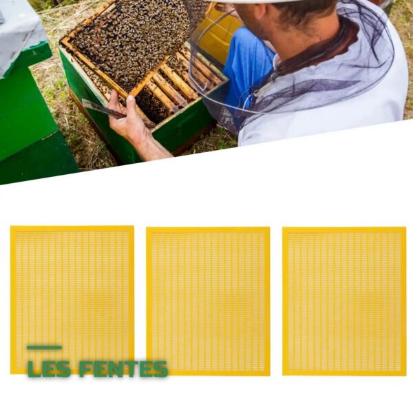 Grille à Reine pour Ruche d'Abeilles