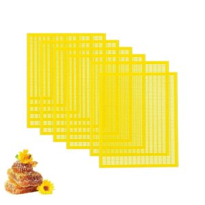 Grille à Reine pour Ruche d'Abeilles