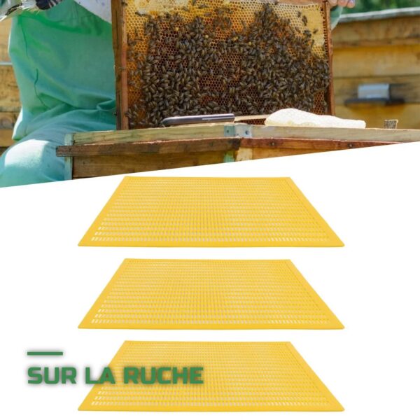 Grille à Reine pour Ruche d'Abeilles