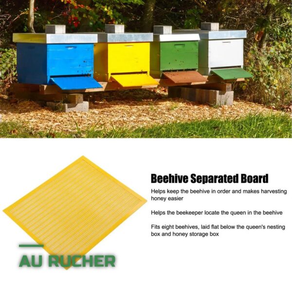 Grille à Reine pour Ruche d'Abeilles