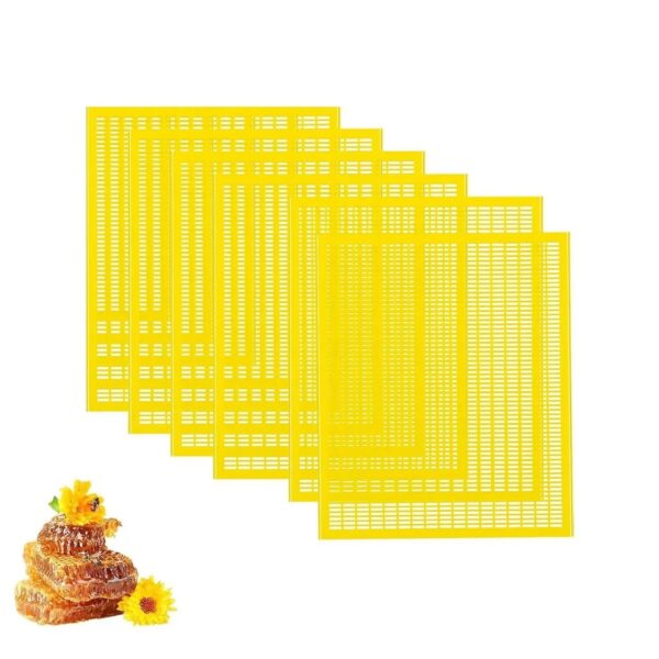 Grille à Reine pour Ruche d'Abeilles