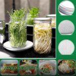 Kit de Germination en Bocaux avec Grille