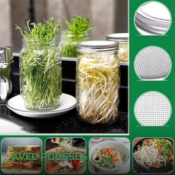 Kit de Germination en Bocaux avec Grille