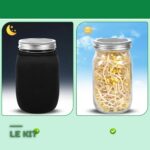 Kit de Germination en Bocaux avec Grille