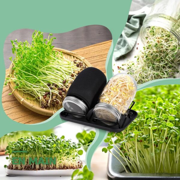 Kit de Germination en Bocaux avec Grille