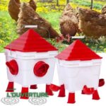Kit Mangeoire et Abreuvoir pour Poules