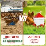 Kit Mangeoire et Abreuvoir pour Poules