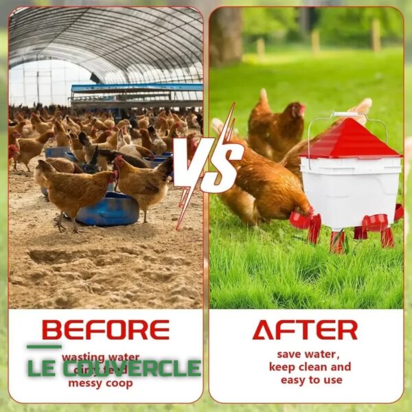 Kit Mangeoire et Abreuvoir pour Poules