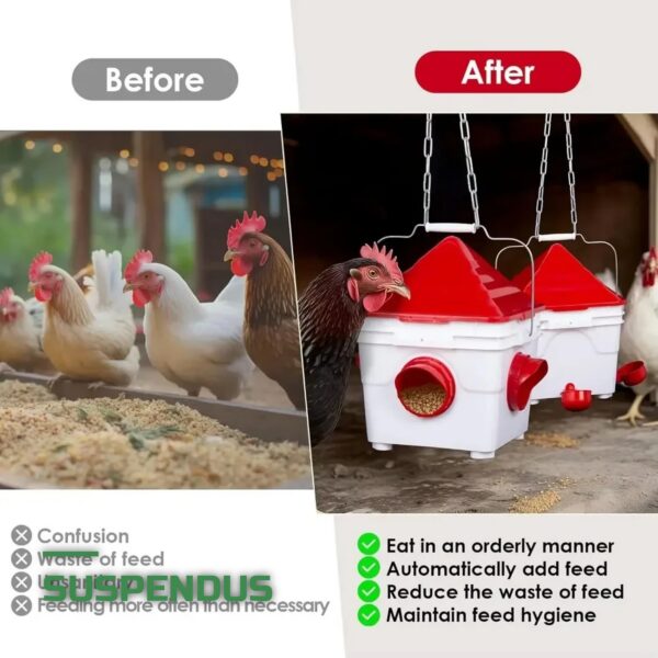 Kit Mangeoire et Abreuvoir pour Poules