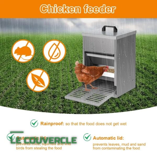 Mangeoire Automatique à Pédale Anti-Gaspillage pour Poules