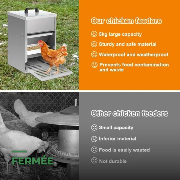 Mangeoire Automatique à Pédale Anti-Gaspillage pour Poules