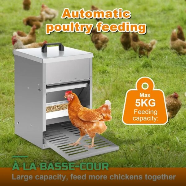 Mangeoire Automatique à Pédale Anti-Gaspillage pour Poules