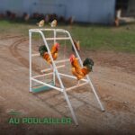 Perchoir Juchoir en Bois pour Poules