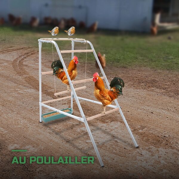 Perchoir Juchoir en Bois pour Poules